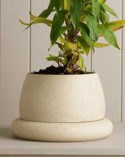 Planters & Watering Cans-Robert Gordon Large Cloud Planter / White Speckle