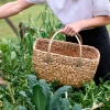 Baskets-Robert Gordon Small Harvest Basket / Goldie