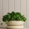 Planters & Watering Cans-Robert Gordon Wide Cloud Planter / White Speckle
