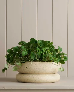 Planters & Watering Cans-Robert Gordon Wide Cloud Planter / White Speckle